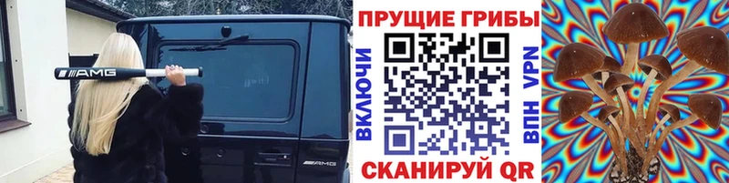 Галлюциногенные грибы Cubensis  Мелеуз 